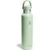 Hydro Flask Water Bottle – Insulated Stainless Steel – Non Spill, Leakproof in 24 Oz Deep Teal(Aloe Green)