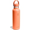 Hydro Flask Water Bottle – Insulated Stainless Steel – Non Spill, Leakproof in 24 Oz Deep Teal(Nectar Orange)