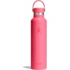 Hydro Flask Water Bottle – Insulated Stainless Steel – Non Spill, Leakproof in 24 Oz Deep Teal(Popstar Pink)