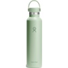 Hydro Flask Water Bottle – Insulated Stainless Steel – Non Spill, Leakproof in 24 Oz Deep Teal(Aloe Green)