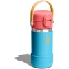 Hydro Flask Kids Water Bottle for School – Stainless Steel and Insulated with Straw Cap – 12 Oz in Bluejay
