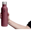 Hydro Flask 25 Oz Ceramic Wine Bottle Burgundy